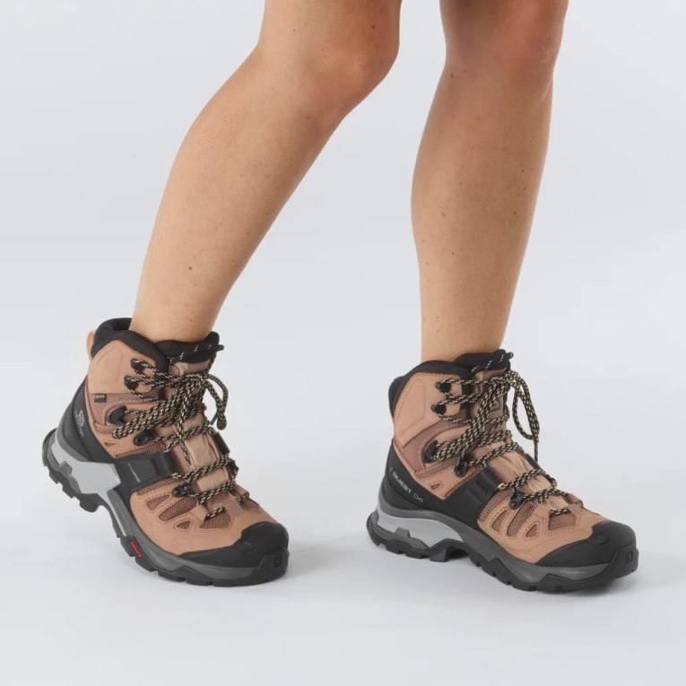 Botas Montaña Salomon Quest 4 GTX Mujer Marrom Negros | MX UCEP504